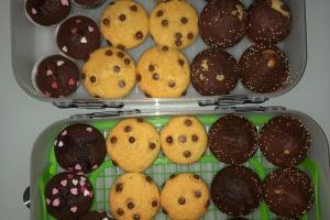 IMG-20190304-WA0007